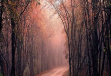 好博体育官网：沙特主帅：必须把握住获得的机会 今天的比赛本可踢得更高效.