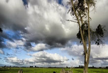 亚残运会即将开幕 各代表团运动员陆续展开适应性训练央视新闻客户端.