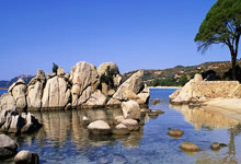 好博体育官网：周继红名场面！翻腾三周半为跳水队夺奥运首金：一入水就知道夺冠.